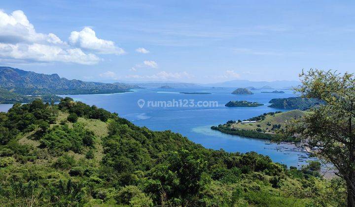 Di Jual Tanah Bukit View Laut Di Warloka 1