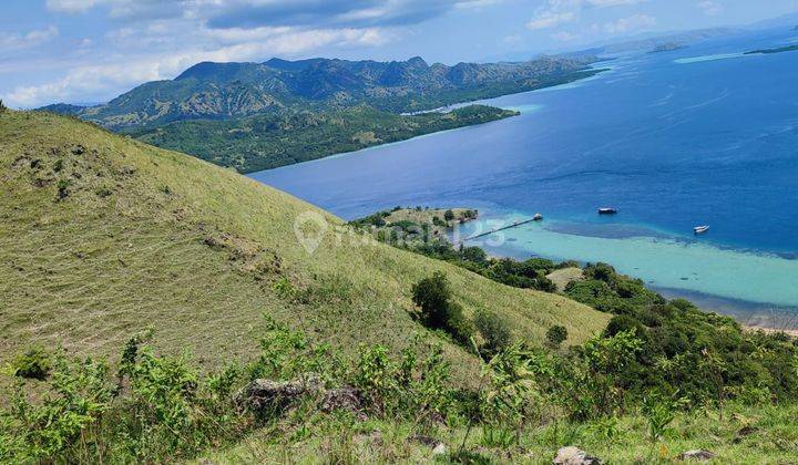 Di Jual Tanah Bukit Langsung Panta Di Warloka Labuan Bajo 2