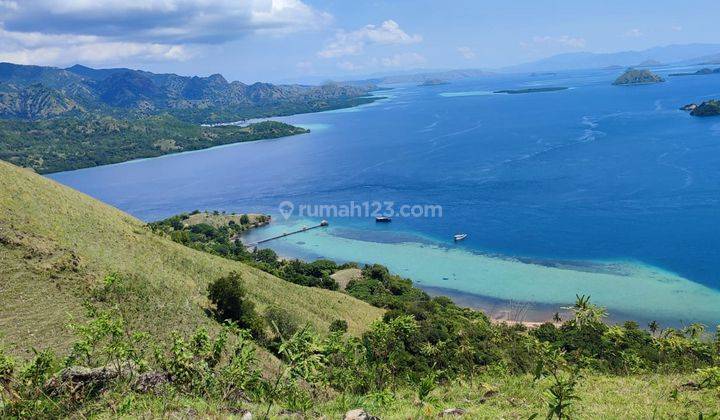 Di Jual Tanah Bukit Langsung Panta Di Warloka Labuan Bajo 1