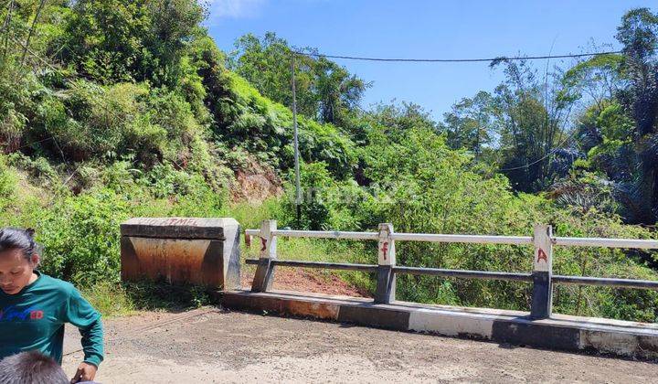 Di Jual Tanah Kebun Di Mbeliling 1