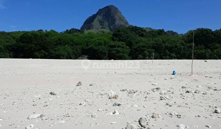 di Jual Tanah Los Pantai Manggarai Tengah Moles City 1