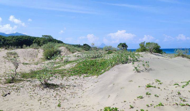 Di Jual Tanah Los Pantai di Lembor Selatan 1