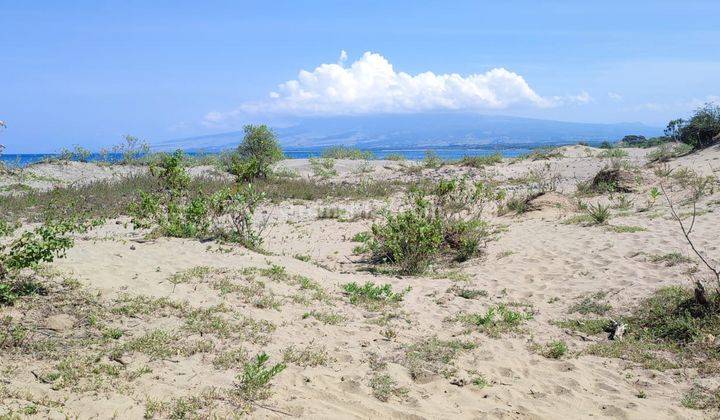 Di Jual Tanah Los Pantai di Lembor Selatan 2