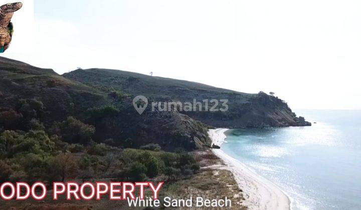 Di Jual Tanah Los Pantai di Labuan Bajo Seraya Besar 2