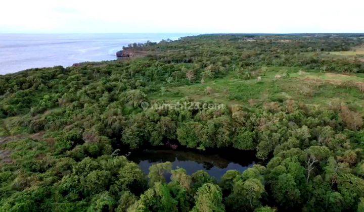 Di Jual Tanah Los Tebing di Sumba Barat Saya 1