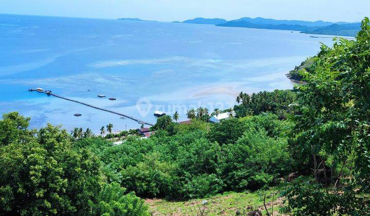 Di Jual Tanah Bukit View Laut di Labuan Bajo 1