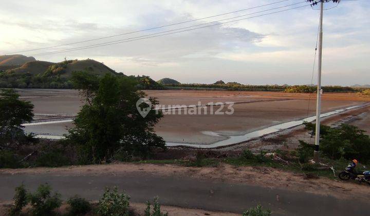 Di Jual Tanah Tambak Ikan di Labuan Bajo 1