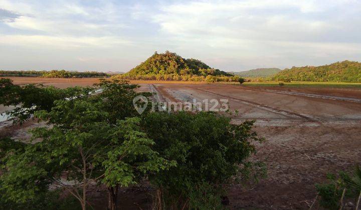 Di Jual Tanah Tambak Ikan di Labuan Bajo 2