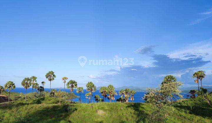 Di Jual Tanah Bukit View Laut di Wae Cicu Timur Labuan Bajo 2