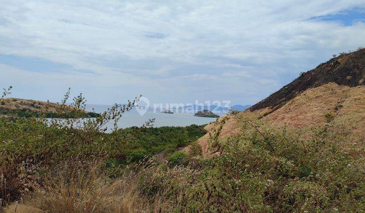 Di Jual Tanah Bukit View Laut di Wae Cicu Labuan Bajo 2