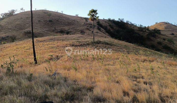 Di Jual Tanah Bukit View Laut di Wae Cicu Labuan Bajo 2