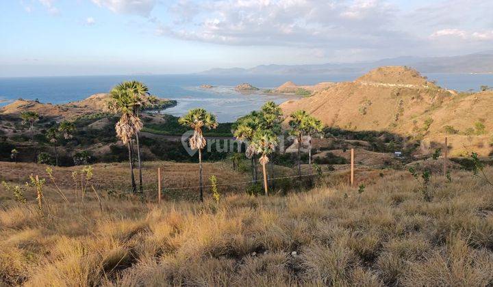 Di Jual Tanah Bukit View Laut di Wae Cicu Labuan Bajo 1