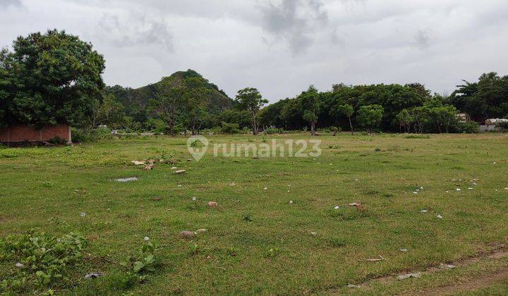 Di Jual Tanah Los Pantai di Labuan Bajo 2