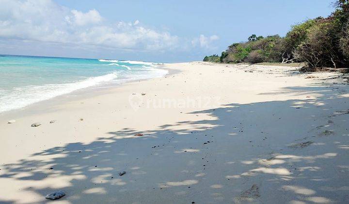 DI JUAL TANAH LOS PANTAI DI PULAU MULES NTT 2