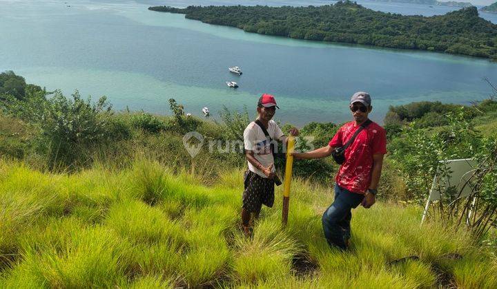 DI JUAL TANAH BUKIT VIEW LAUT DI WARLIKA LABUAN BAJO 1