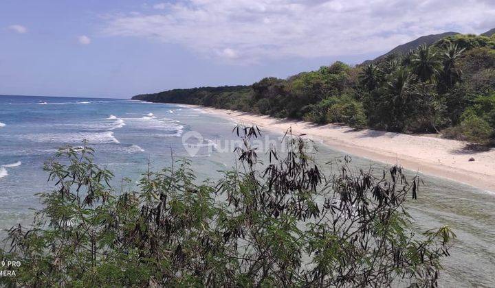 DI JUAL TANAH LOS PANTAI DI PULAU MULES NTT INVESTASI  2