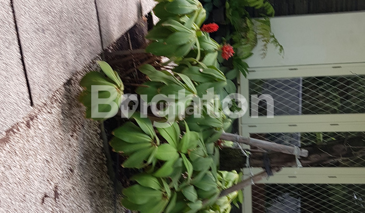 Rumah Mewah siap pakai harga terjangkau