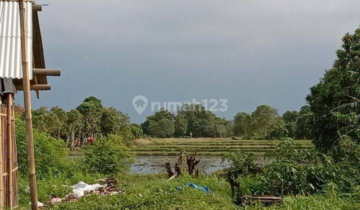 Tanah di jual lokasi strategis banyak manfaatnya  9