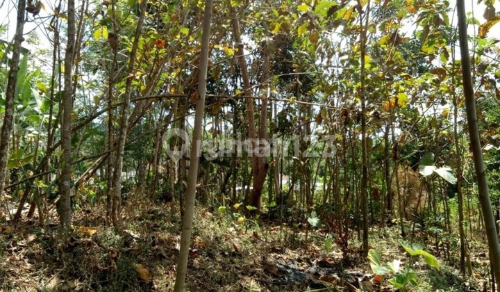 tanah daerah pandaan desa dayuejo tanah daerah pandaan desa dayuejo