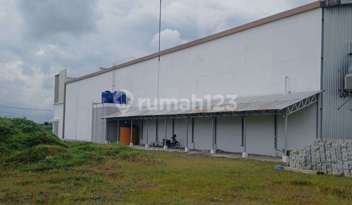 Gudang Baru Bagus Siap.pakai Dawarblandong Mojokerto