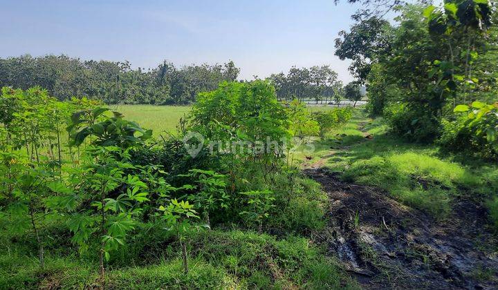 Kavling industri siap bangun sukorejo perak jombang  2