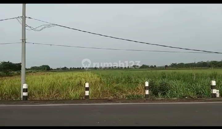 Kavling industri raya bypas Mojokerto lamongan  2