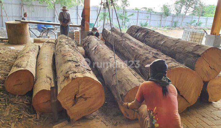 Pabrik kayu siap pakai di Raya cerme gresik 2