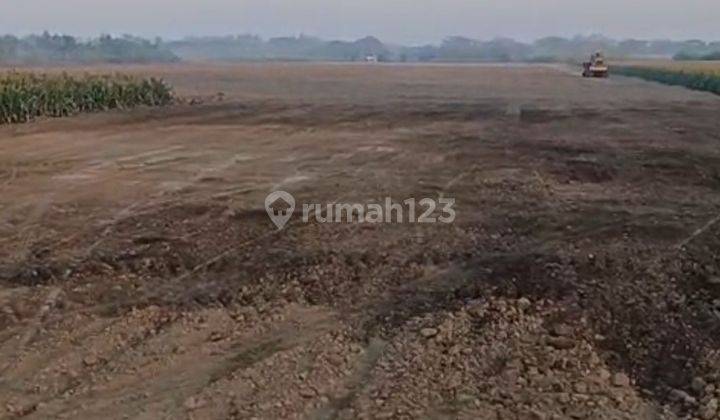 Kavling industri Row lebar jetis Mojokerto 3 hectare 2