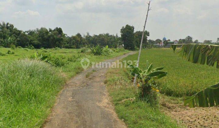 Kavling Pasuruan Row Jalan 2.5 Mobil Jauh Dr Pemukiman 1