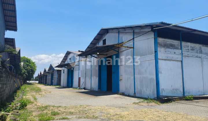 Good Warehouse Ready to Use Raya Gempol Pasuruan Good Warehouse Ready to Use Raya Gempol Pasuruan