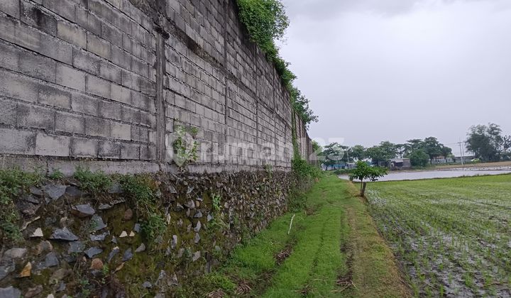 Kertosono Land. Industry Ready. Build Area with Low Minimum Wage. Kertosono Land. Industry Ready. Build Area with Low Minimum Wage.