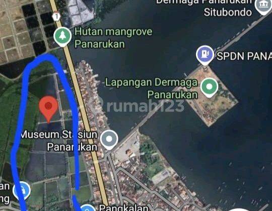 Tanah Tambak Ddekat Laut Panarukan Situbondo 1