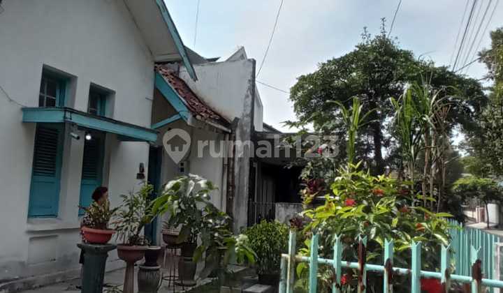 JUAL CEPAT RUMAH SAYAP RIAU BANGUNAN BLANDA JARANG JARANG ADA JUAL CEPAT RUMAH SAYAP RIAU BANGUNAN BLANDA JARANG JARANG ADA