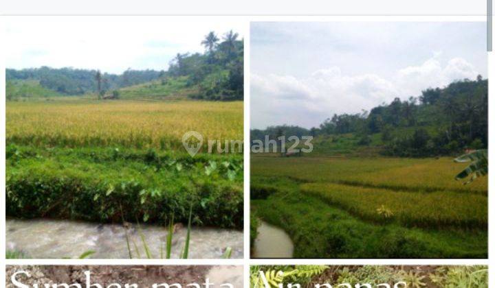 Jual Cepat Muraah Tanah Kebun Dan Sawah,ada Sumber Mata Air Panas Mengalir 24 Jam Tanpa Henti,desa Cijengkol Kecamatan Serang Panjang, Kabupaten Subang Jawa Barat , Jarang Ada Jual  2