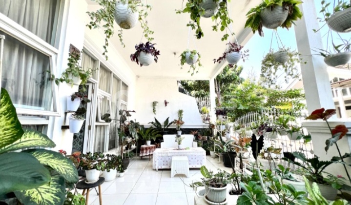 Sell Luxury House Cheap Negotiable Until Deal 2