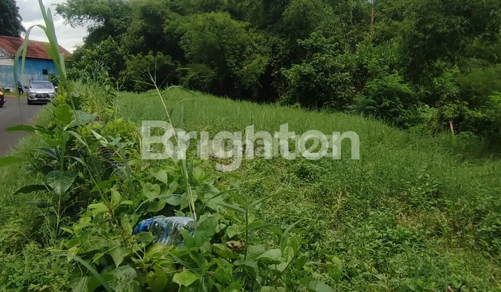 DIJUAL TANAH PINGGIR JALAN DAERAH RAYA CANDI SUKUN