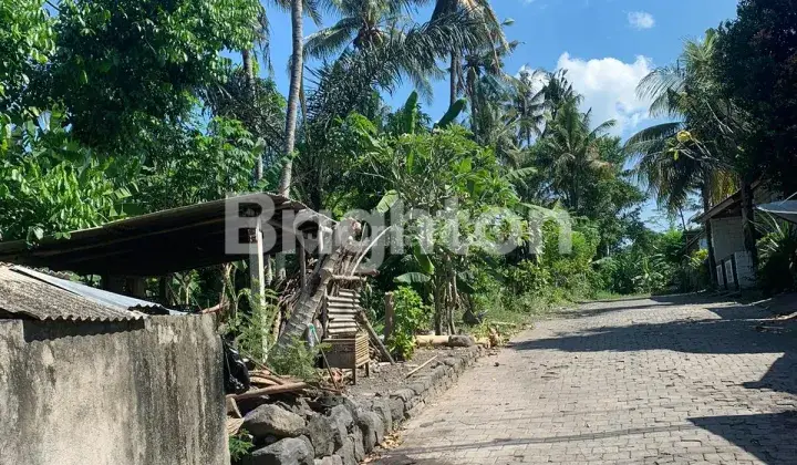 Tanah Luas Dan Strategis Daerah Buleleng Karangasem 2