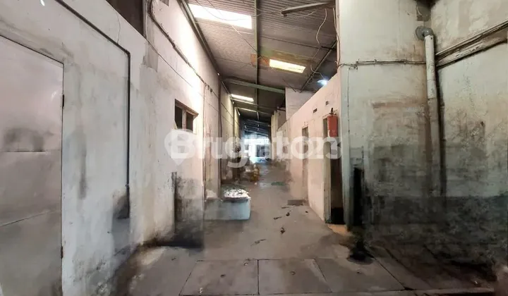 Warehouse and Spacious House for Sale in Janti, Malang Area Warehouse and Spacious House for Sale in Janti, Malang Area