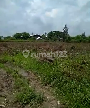 Dijual Tanah Kota Tuban Jawa Timur  5