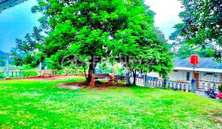 Rumah Cantik Asri Di Jalan Aria Putra, Ciputat, Tangerang Selatan Rumah Cantik Asri Di Jalan Aria Putra, Ciputat, Tangerang Selatan