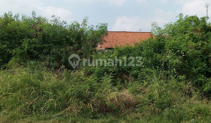 Tanah Cocok Untuk Hunian Di Cikarang Bekasi