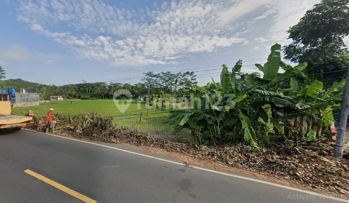 Tanah Strategis di Lokasi Emas Cocok Untuk Investasi dan Usaha di Pangandaran Tanah Strategis di Lokasi Emas Cocok Untuk Investasi dan Usaha di Pangandaran