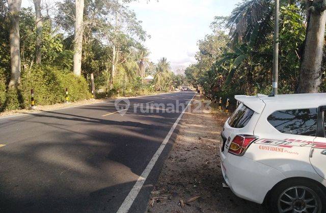 Tanah Luas Cocok Dibangun Penginapan di Pangandaran Raya 2