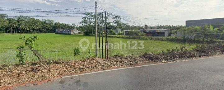 Tanah Strategis di Lokasi Emas Cocok Untuk Investasi dan Usaha di Pangandaran Tanah Strategis di Lokasi Emas Cocok Untuk Investasi dan Usaha di Pangandaran