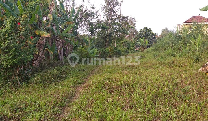 Dijual Tanah premium hook kediri tabanan Bali 1