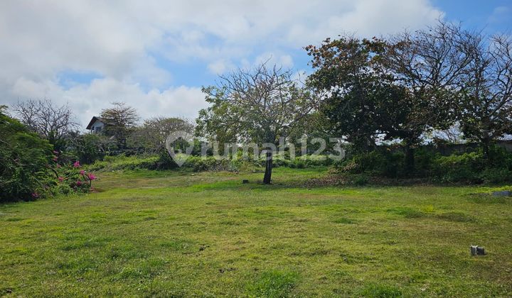 Tanah Los Tebing Ocean View yang Terletak di Kawasan Panta Tanah Los Tebing Ocean View yang Terletak di Kawasan Panta