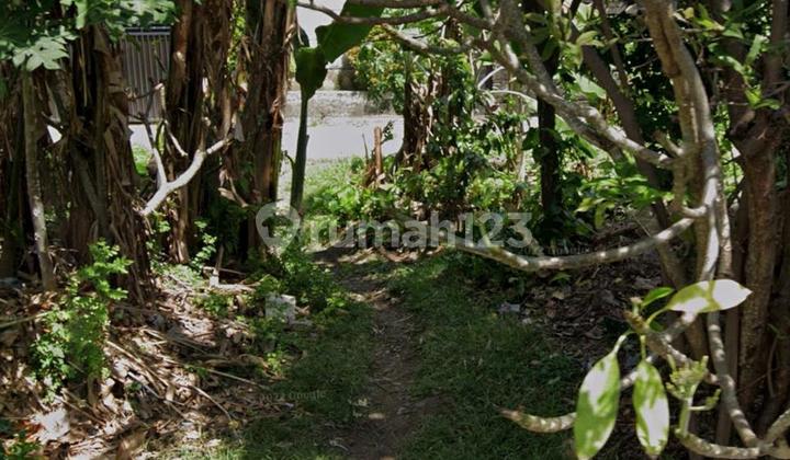 Di jual tanah 1 are gatsu barat denpasar Di jual tanah 1 are gatsu barat denpasar