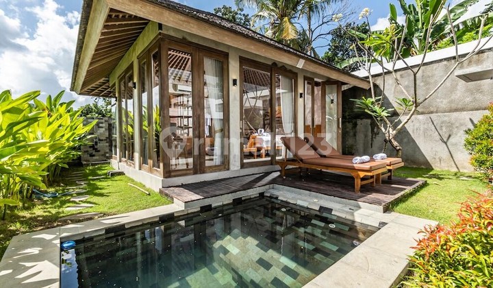 For Sale: Tropical Villa Complex on Jl Utama Singapadu Ubud For Sale: Tropical Villa Complex on Jl Utama Singapadu Ubud