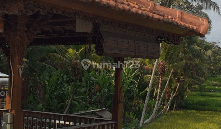 Dijual Rumah Minimalis Tampaksiring Sanding Gianyar 2
