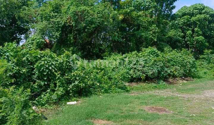 For Rent Vacant Land 8.3Are Tuban Bali